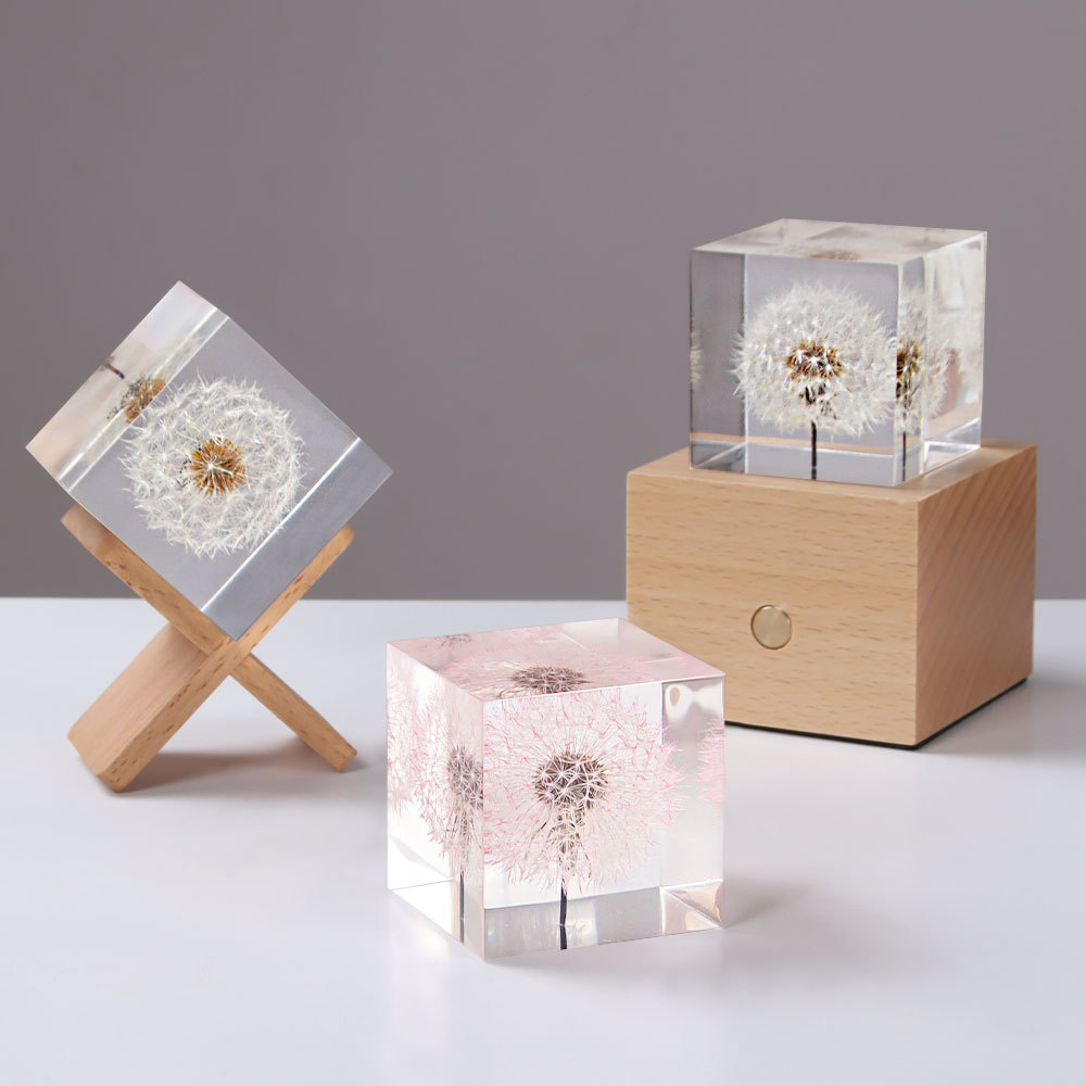 Dandelion preserved fresh flow - Flower Preservation Resin avaliação e preço
