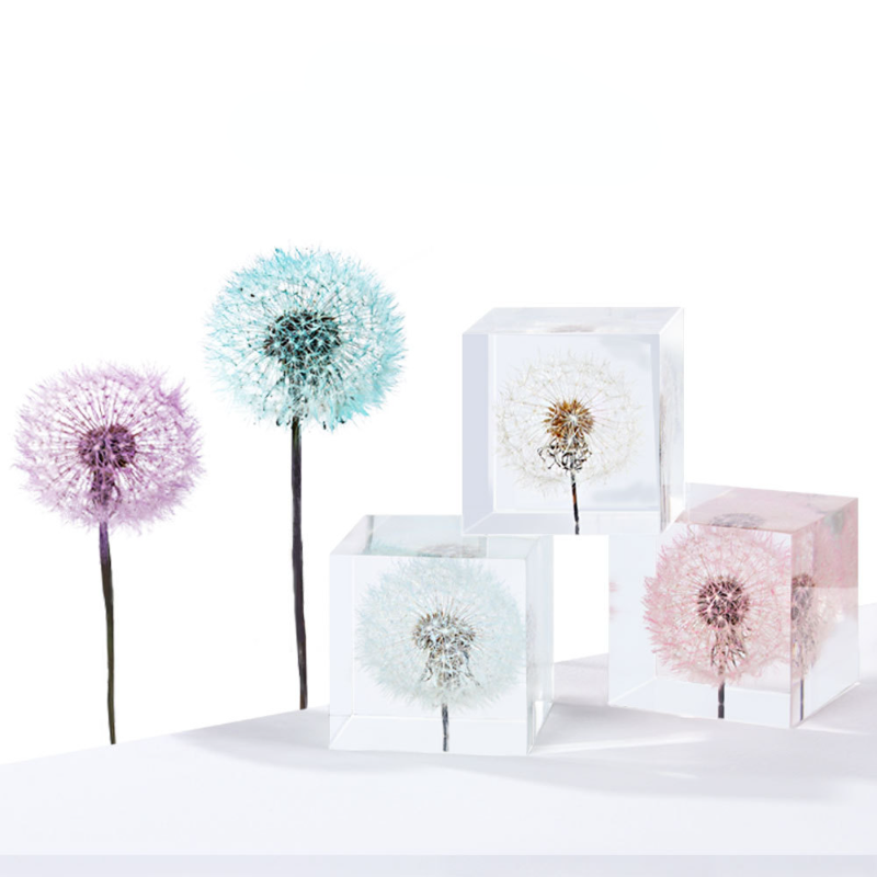 Dandelion preserved fresh flow - Flower Preservation Resin avaliação e preço