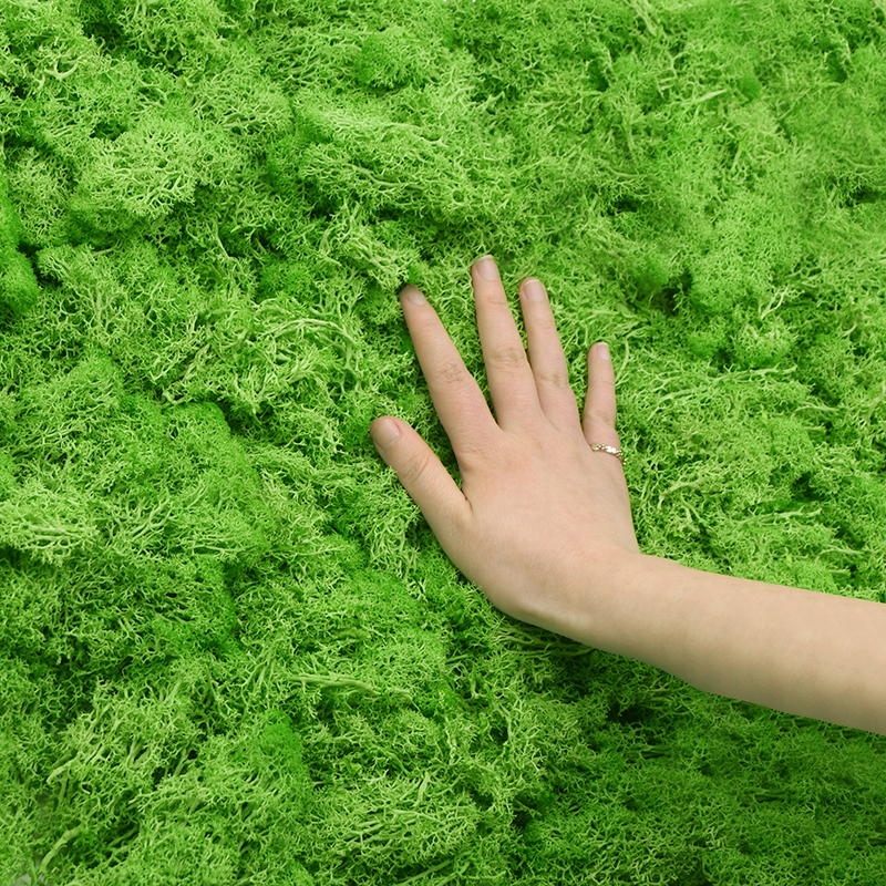 20/40g Artificial Green Plants - Terrarium Moss Art avaliação e preço