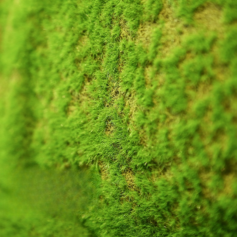 Artificial Turf Moss Grassland - Terrarium Moss Art avaliação e preço