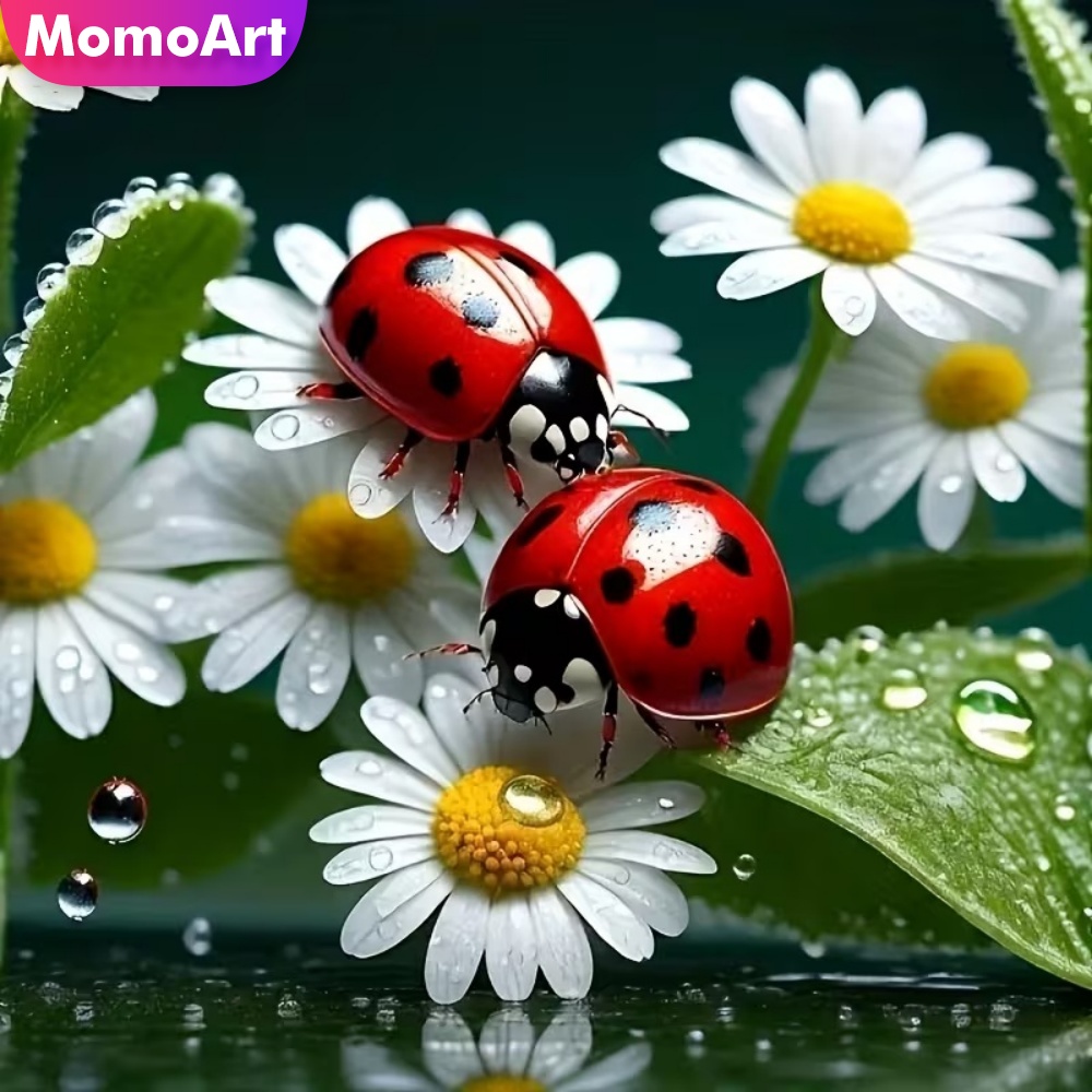 Momoart Diamond Painting Ladyb - Resin Craft For Beginners avaliação e preço