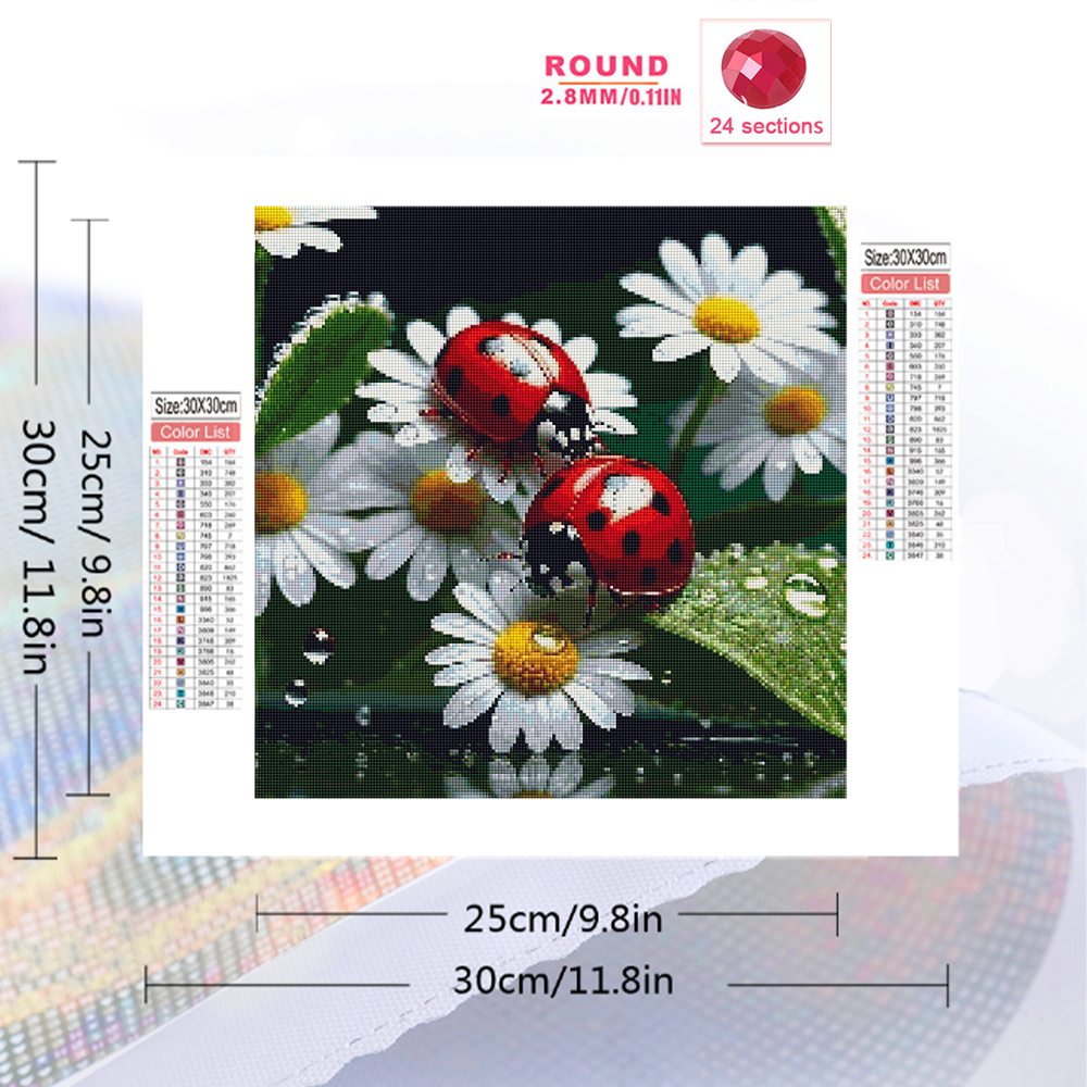 Momoart Diamond Painting Ladyb - Resin Craft For Beginners avaliação e preço