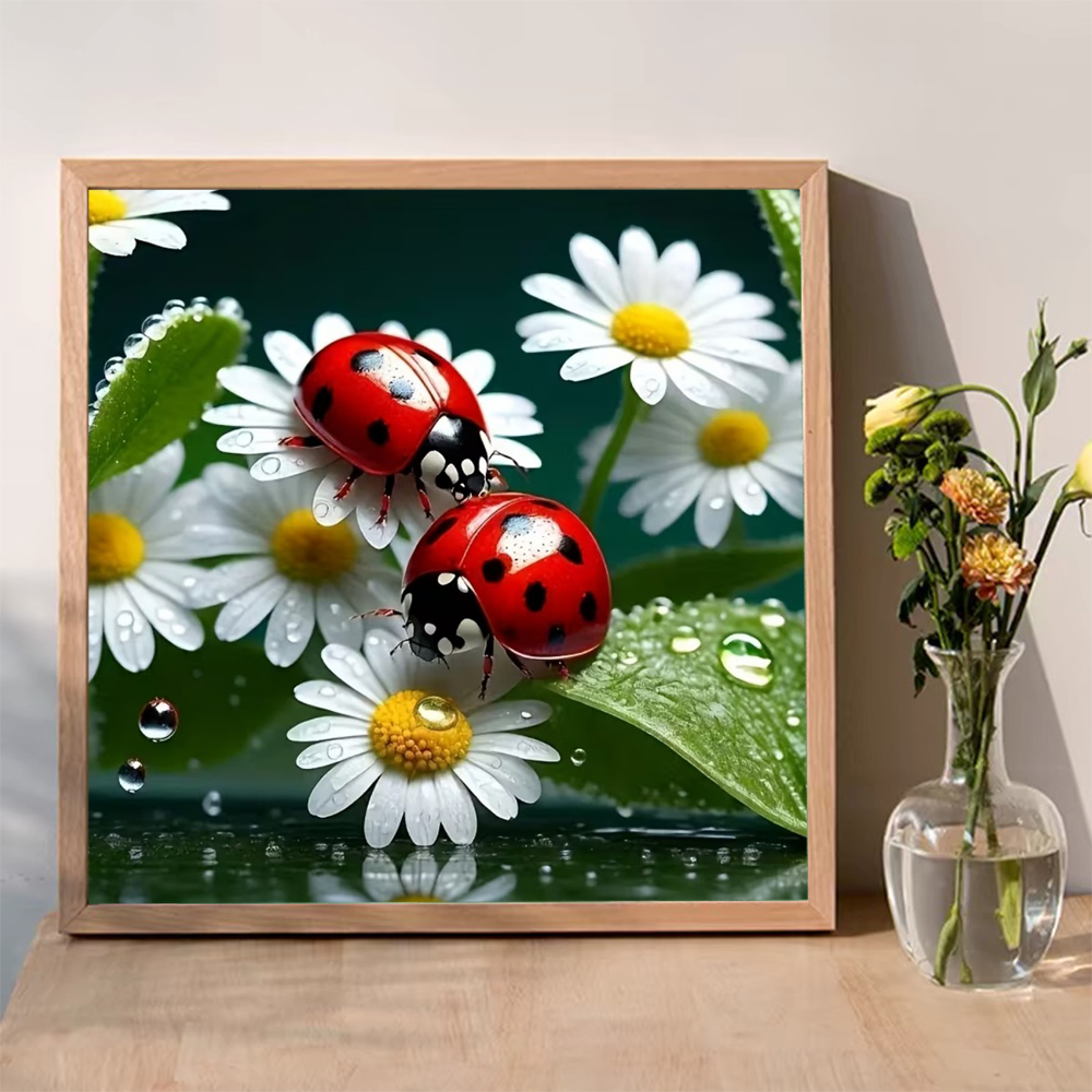 Momoart Diamond Painting Ladyb - Resin Craft For Beginners avaliação e preço