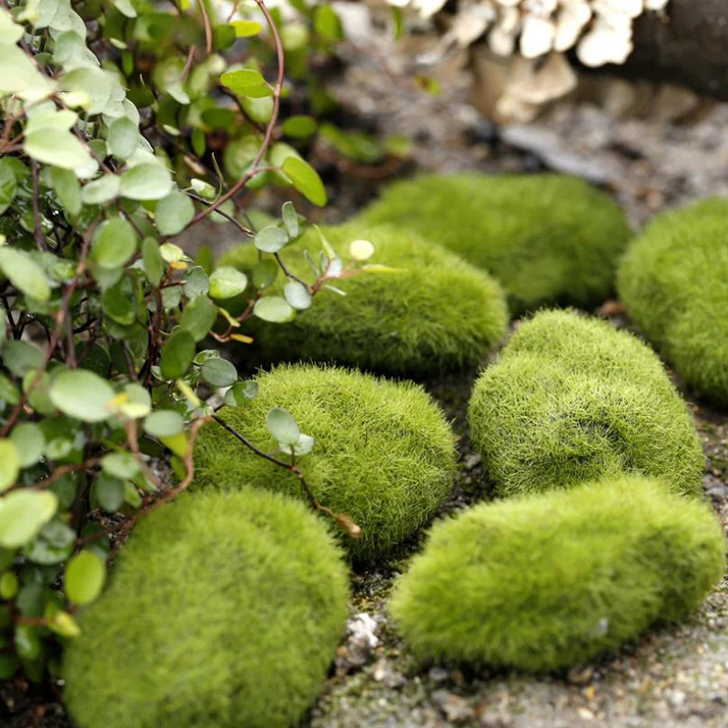 4Pcs Micro Landscape Artificia - Terrarium Moss Art avaliação e preço