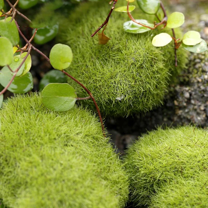 4Pcs Micro Landscape Artificia - Terrarium Moss Art avaliação e preço