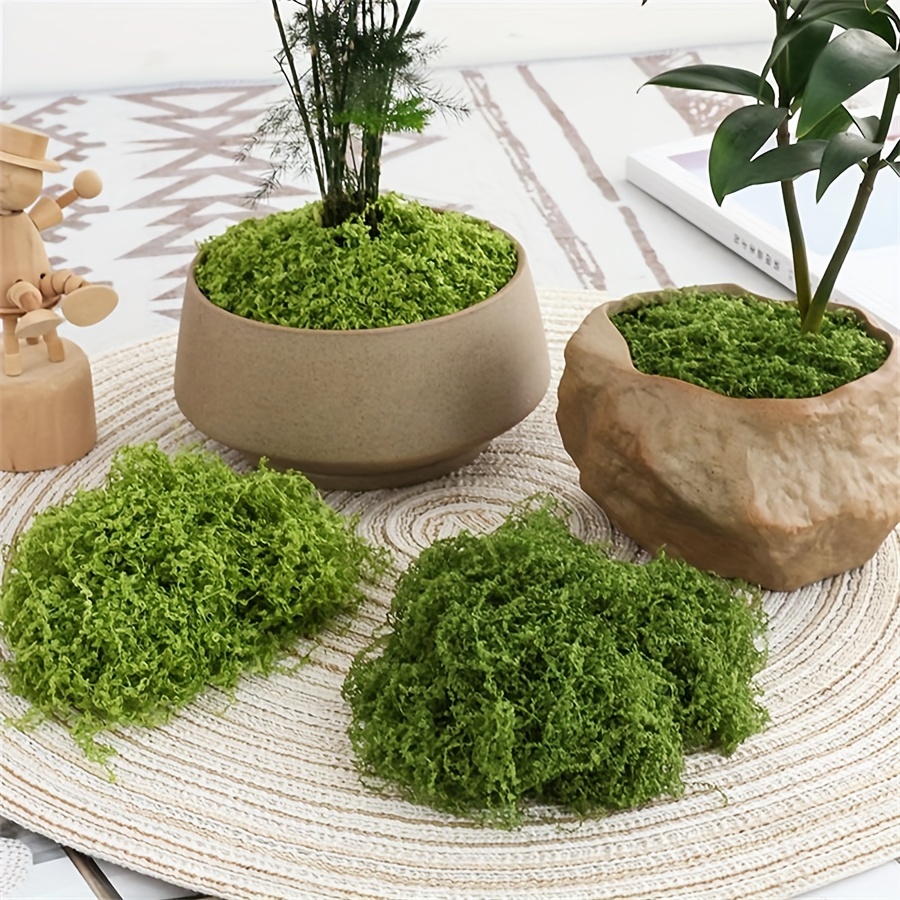 1pack Artificial Fake Moss, 1. - Terrarium Moss Art avaliação e preço