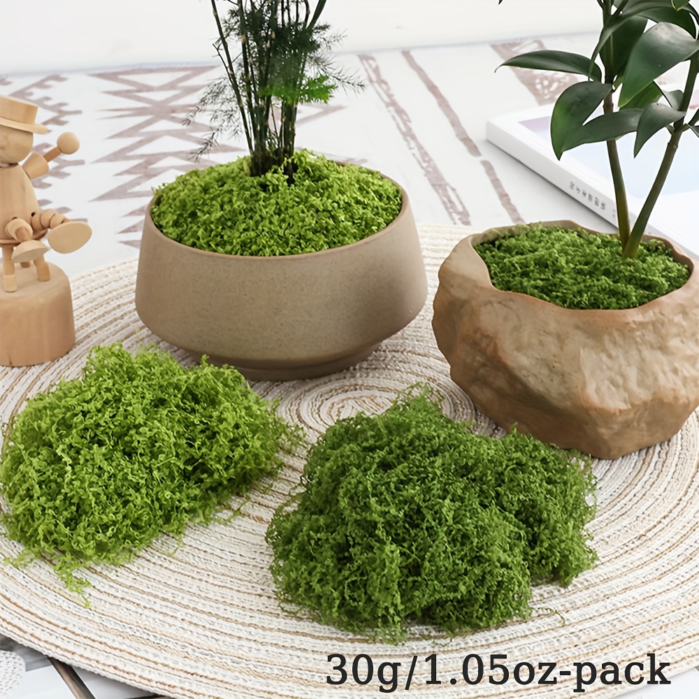 1pack Artificial Fake Moss, 1. - Terrarium Moss Art avaliação e preço