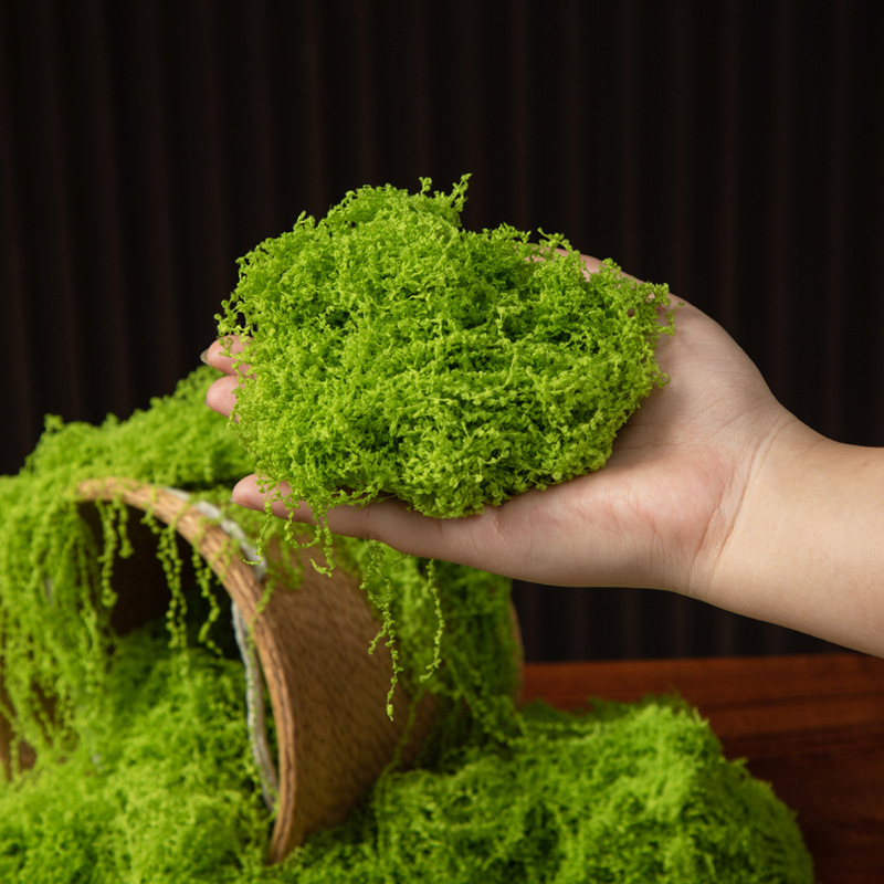 200g Eternal Life Moss DIY Cra - Terrarium Moss Art avaliação e preço