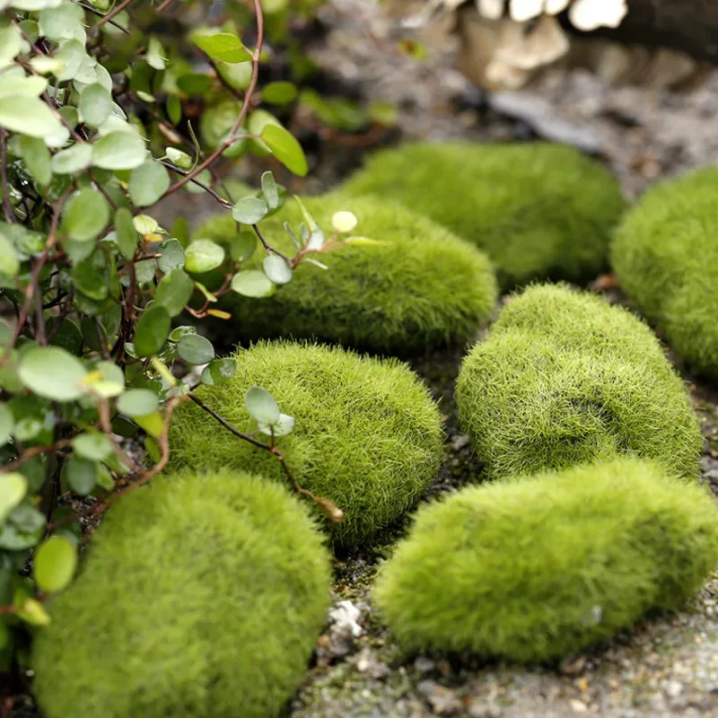 Fake Stone Artificial Moss Roc - Terrarium Moss Art avaliação e preço