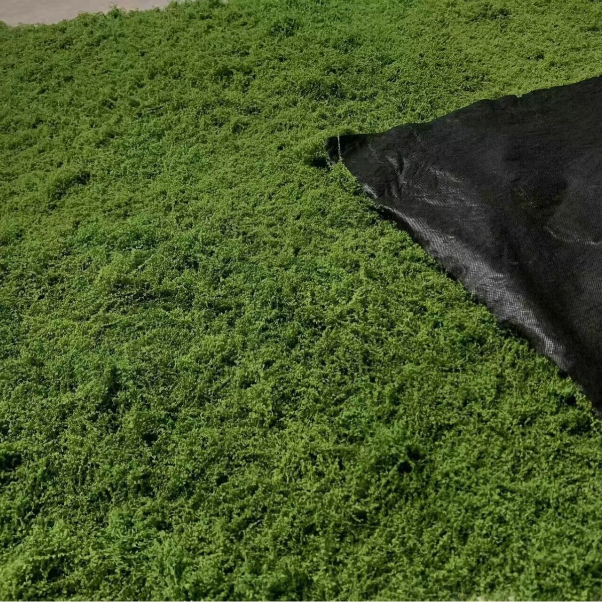 1*1m Fake Moss DIY Crafts Gras - Terrarium Moss Art avaliação e preço