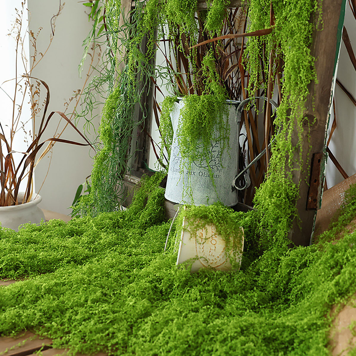 about 20g Artificial Green Pla - Terrarium Moss Art avaliação e preço