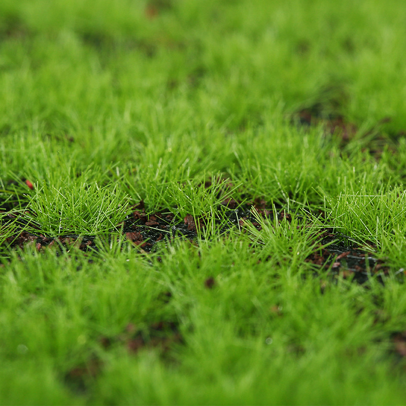 Artificial Moss Fake Green Mos - Terrarium Moss Art avaliação e preço