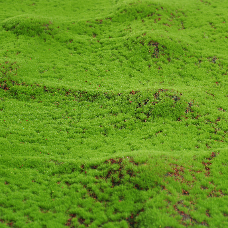 Artificial Moss Fake Green Mos - Terrarium Moss Art avaliação e preço