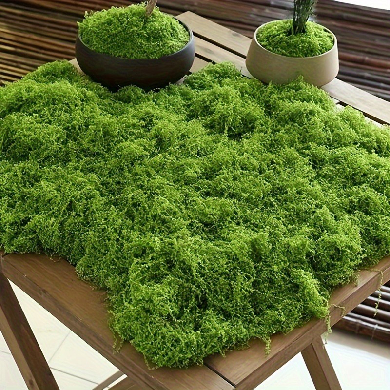 Green Fake Moss DIY Crafts Gra - Terrarium Moss Art avaliação e preço