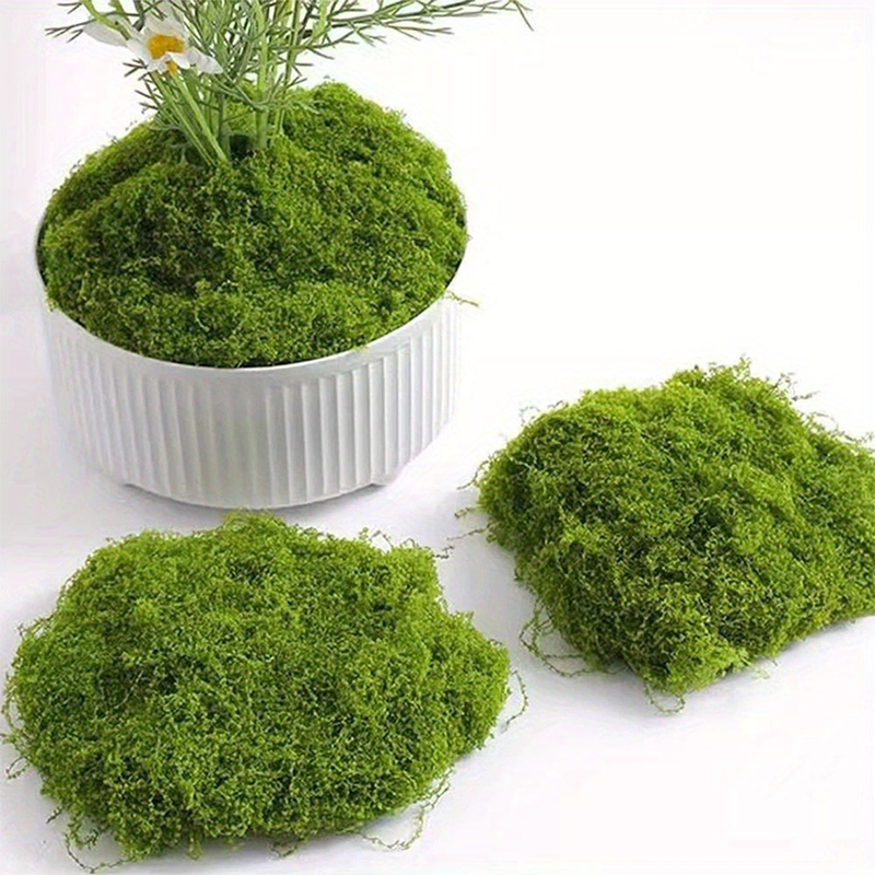 Green Fake Moss DIY Crafts Gra - Terrarium Moss Art avaliação e preço