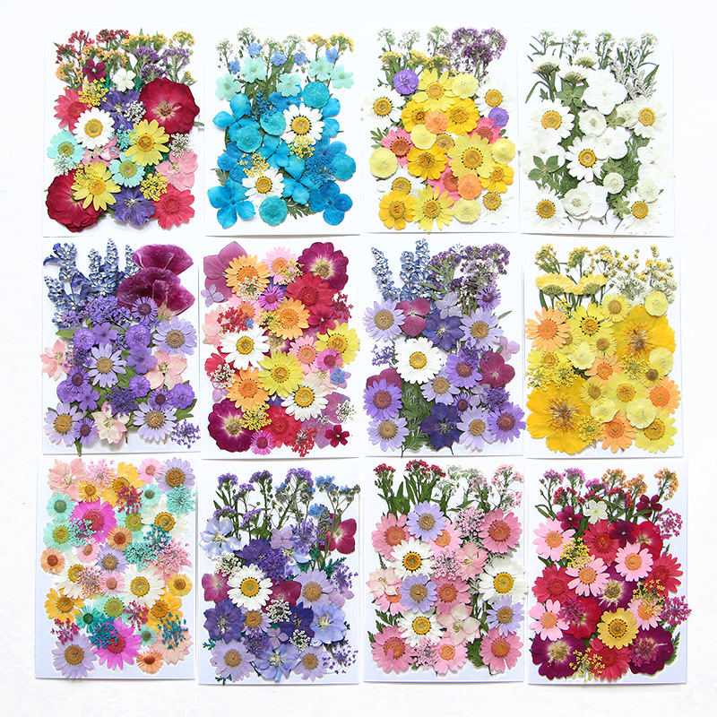 6pcsDried Flowers Real Natural - Flower Preservation Resin avaliação e preço