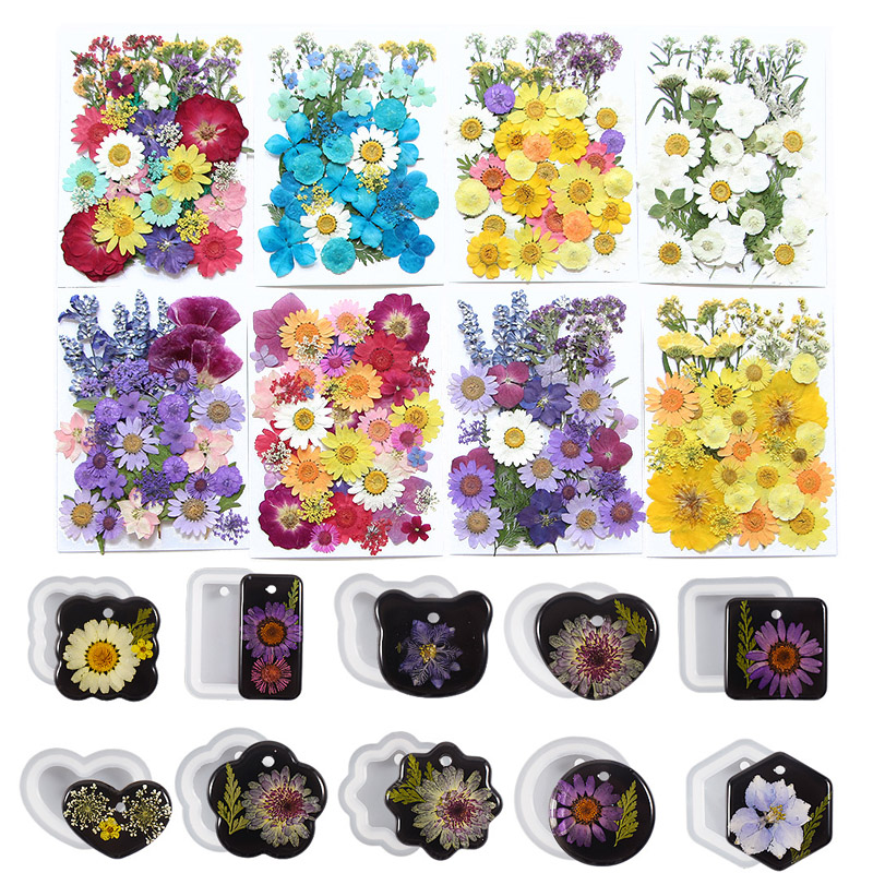 6pcsDried Flowers Real Natural - Flower Preservation Resin avaliação e preço